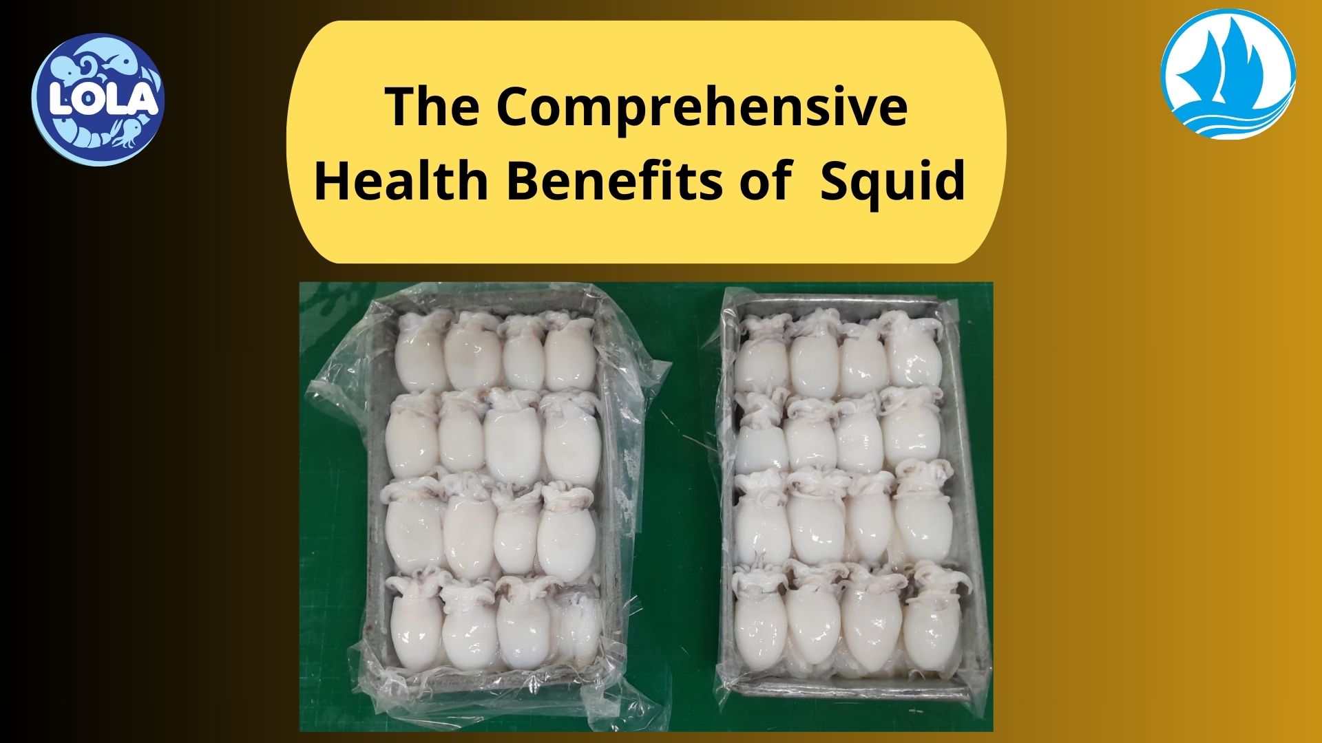  The Comprehensive Health Benefits of  Squid 